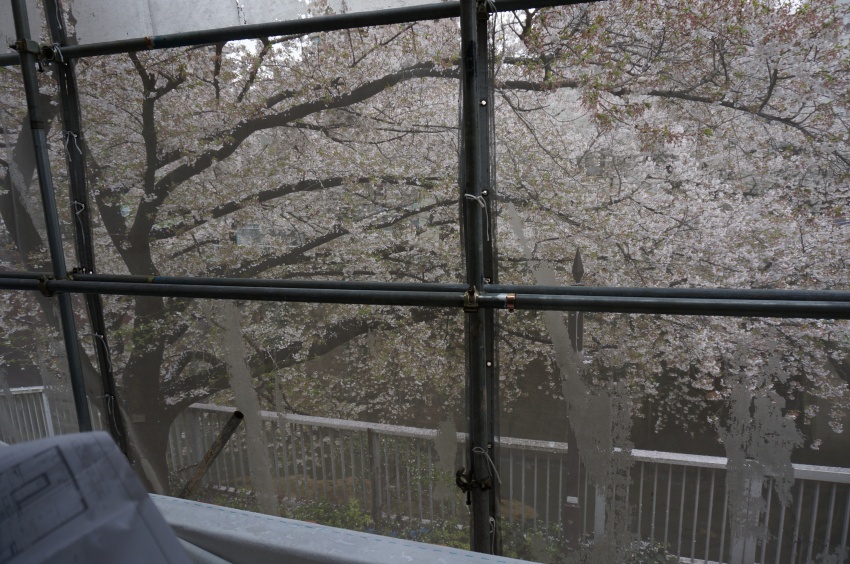 豊島区高田木造住宅　2階　桜